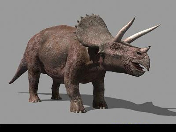 jp triceratops 3d obj - True Jp Triceratops Obj by Virtual creator